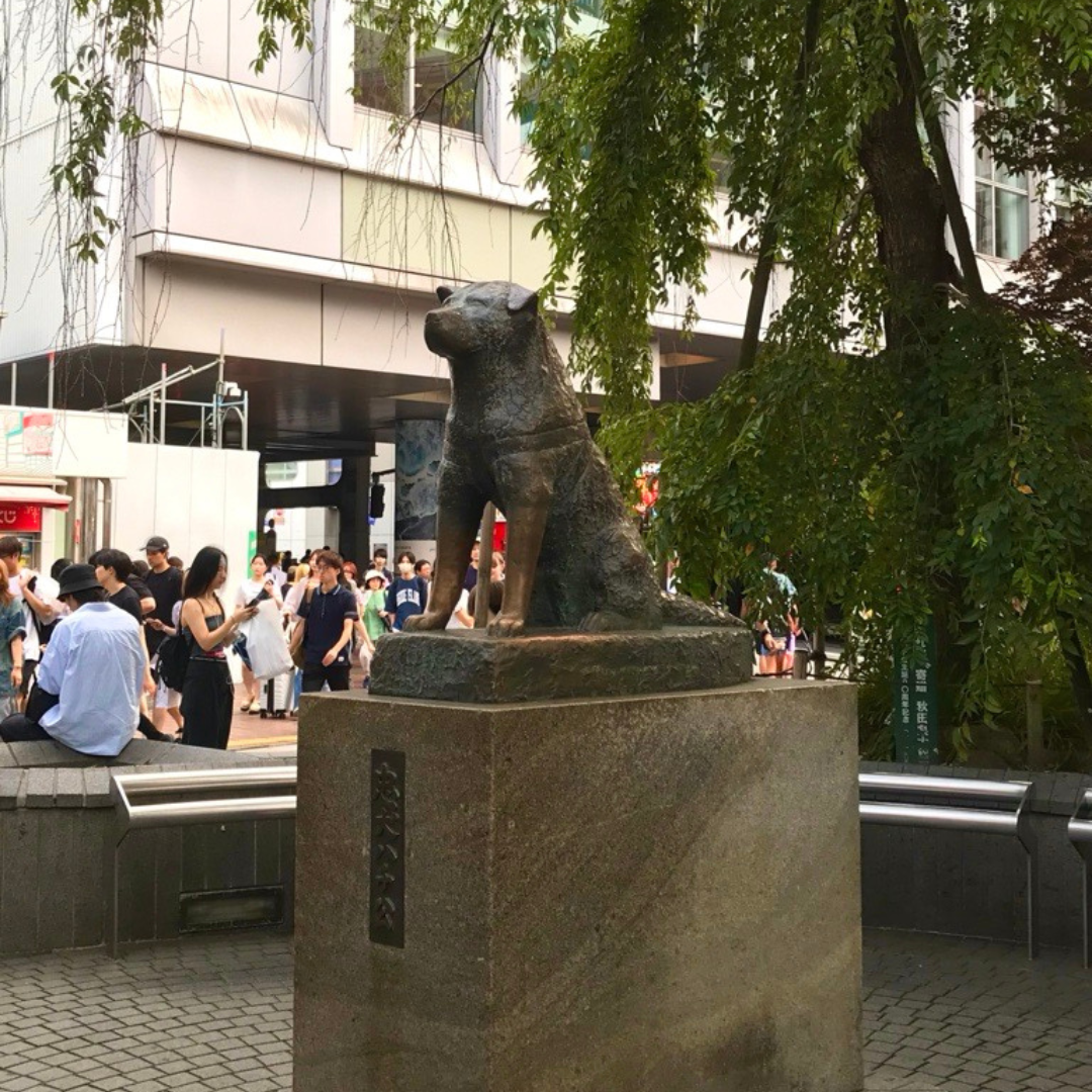 statue of Hachiko